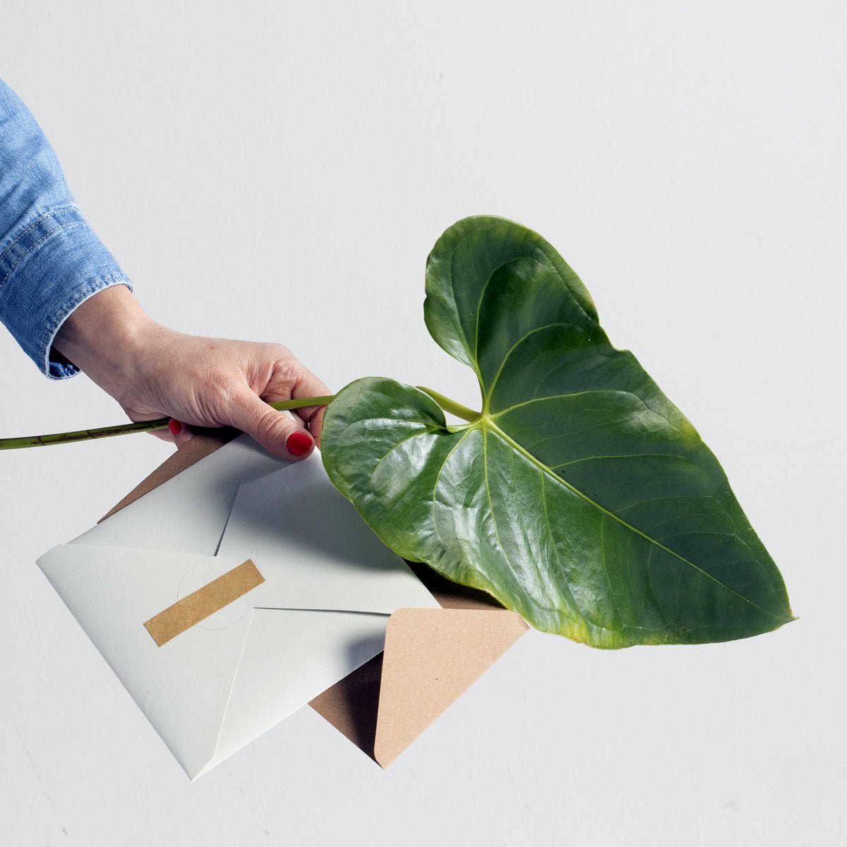 I NOSTRI PREFERITI - Manamant Paper Tales