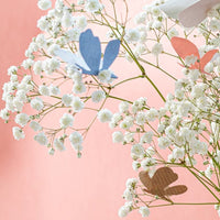 Carta Perlescente Salmone Millerighe - 115gsm - Manamant Paper Tales - FG0952269B1A