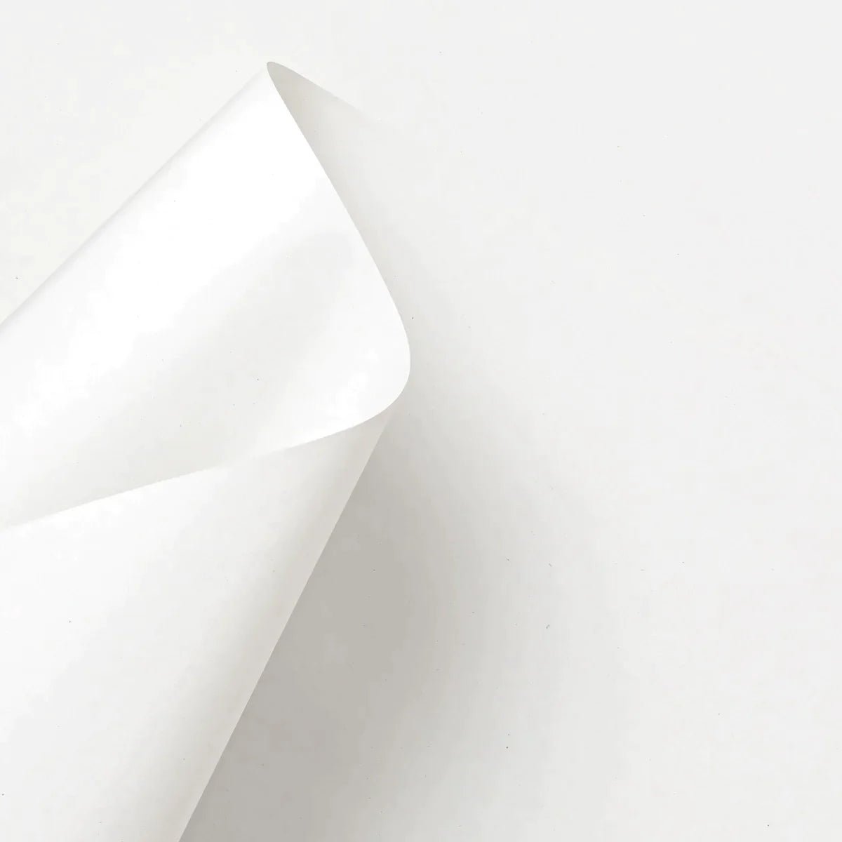 Cartone Bianco liscio - 360gsm - Manamant Paper Tales -FGB820000M2A