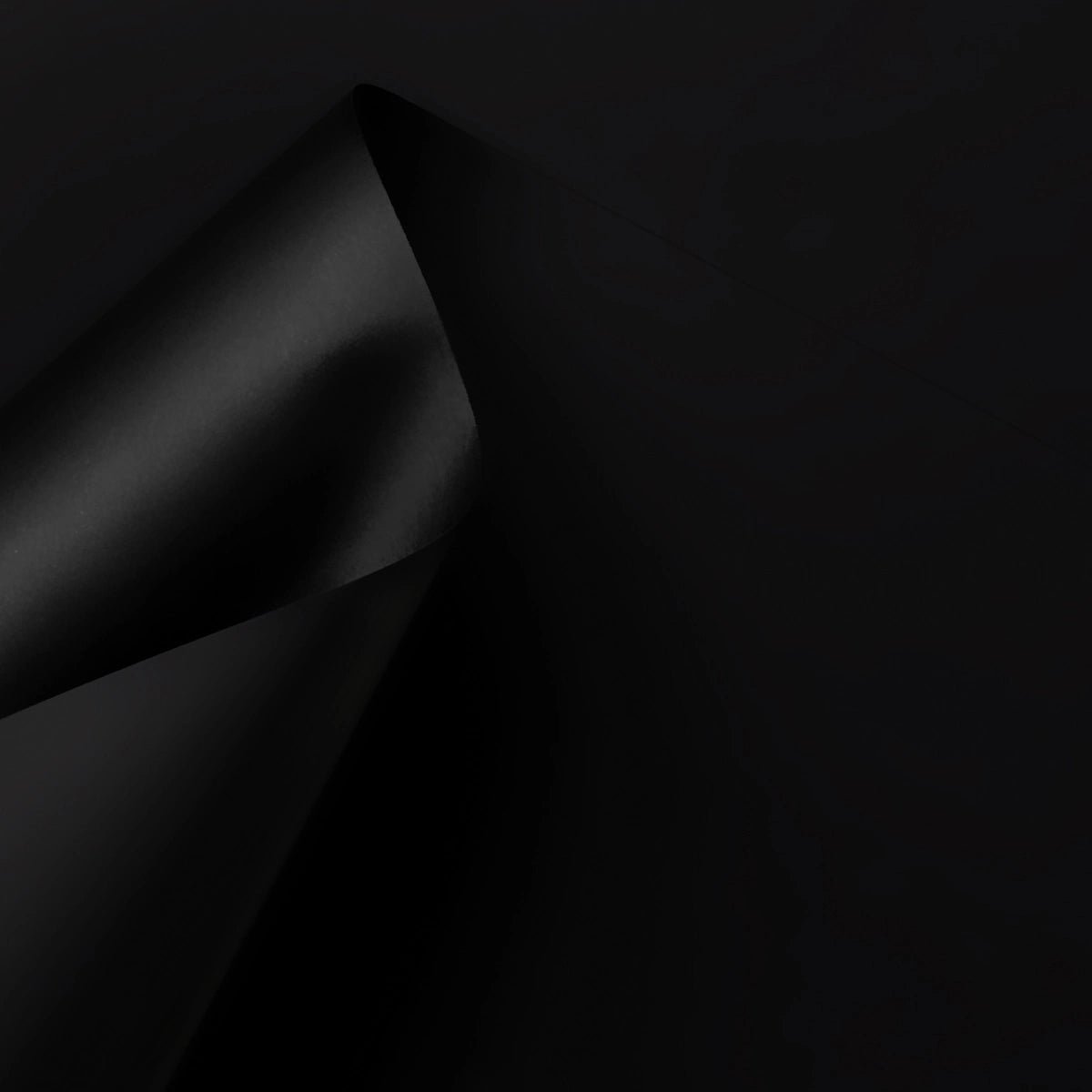 Leitz Libro Monitore Numerato A4 - Organizzatore Per Documenti Con 31 Scomparti, Nero - Foto 2